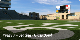 Premium Seating - Glass Bowl